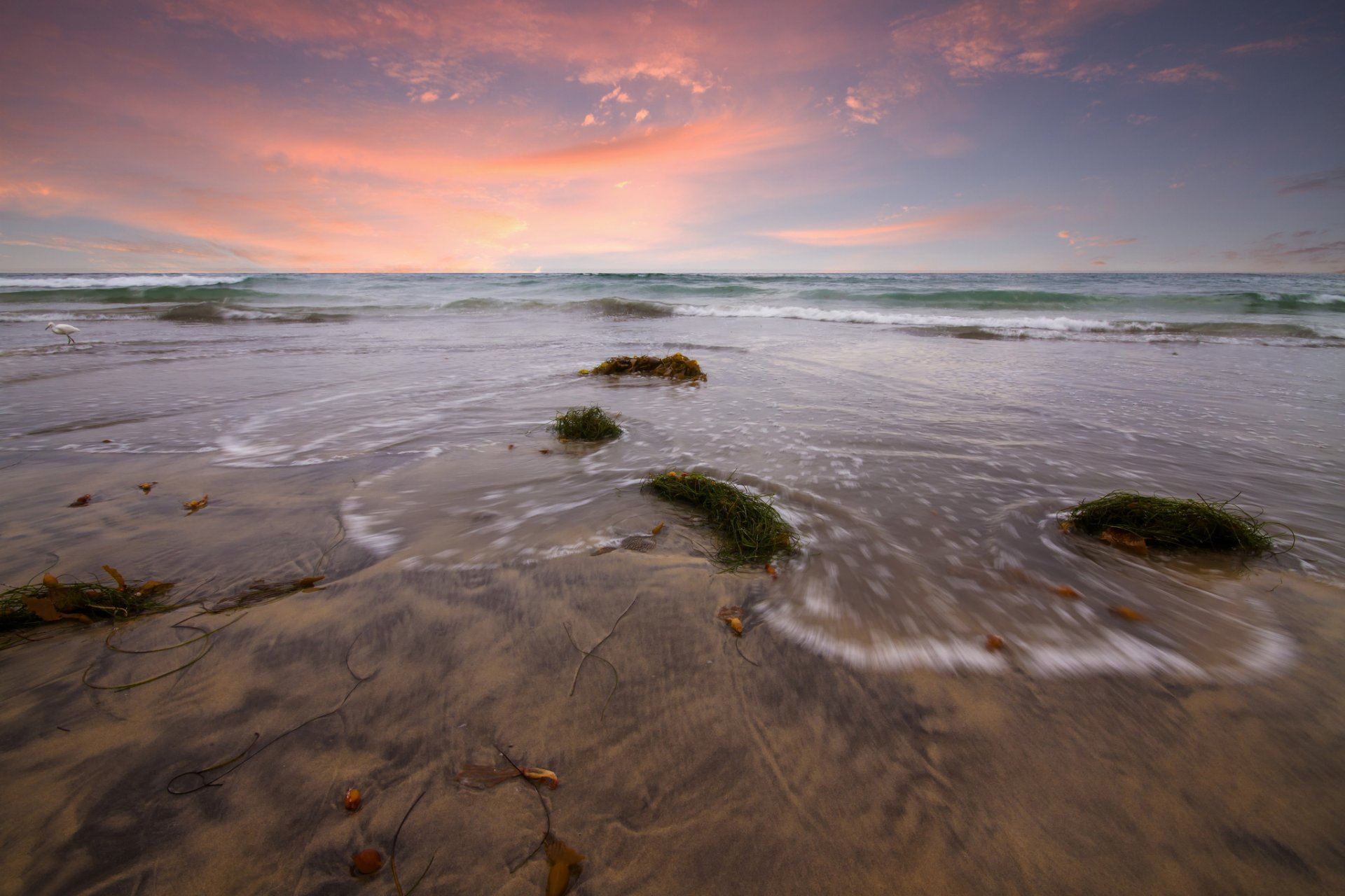 meer wellen strand sand algen