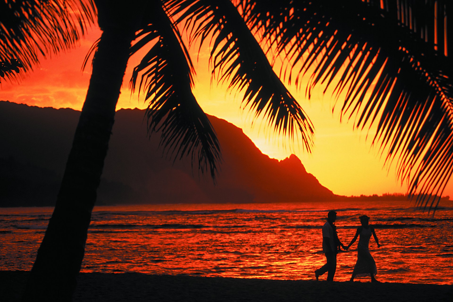 noche puesta de sol palmeras océano romance dos