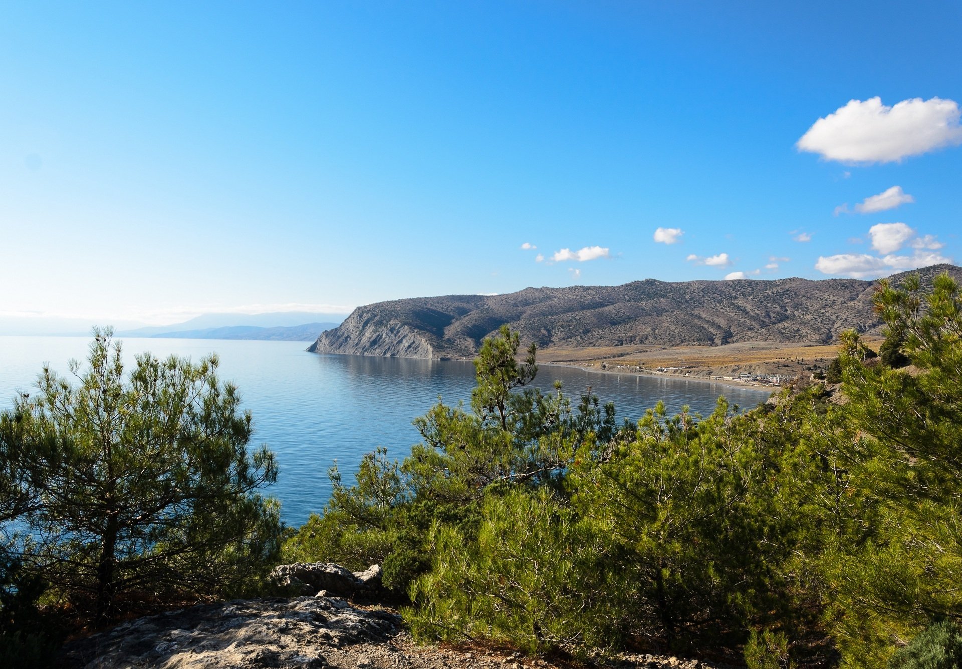 landscape pine coast crimea