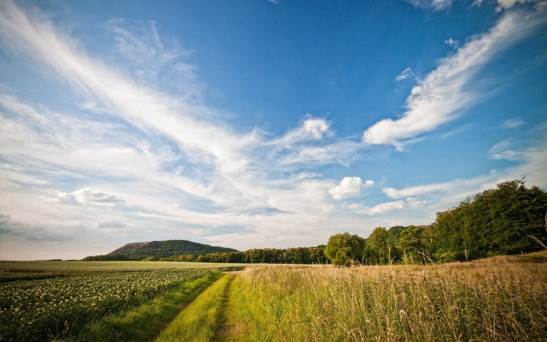 landscape the field road summer horizon clouds landcsape