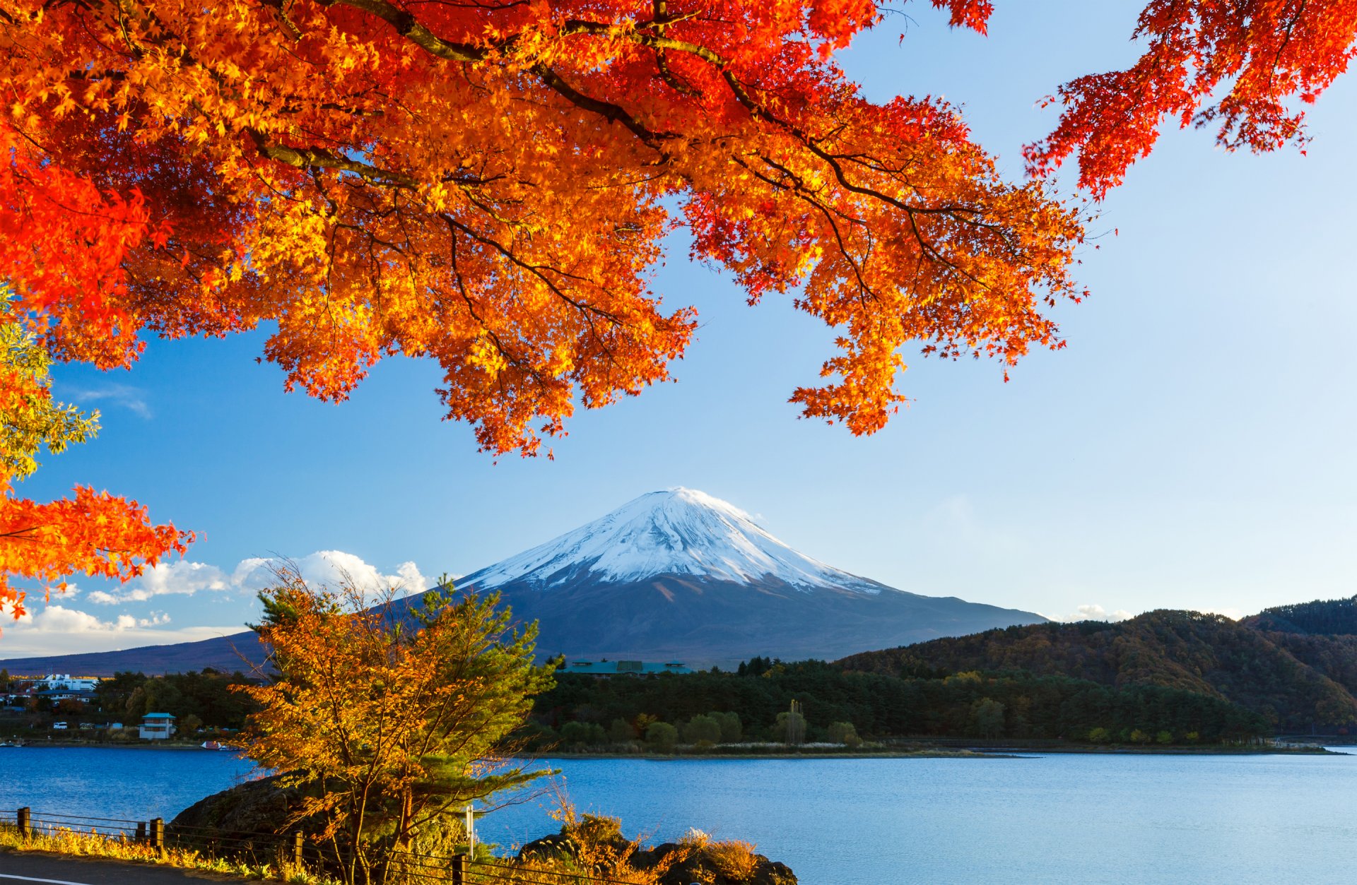 fujiyama japonia góra śnieg niebo liście jesień jezioro las drzewa