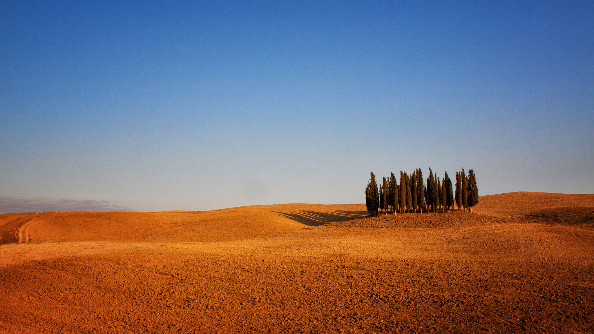 italia toscana seminativo alberi