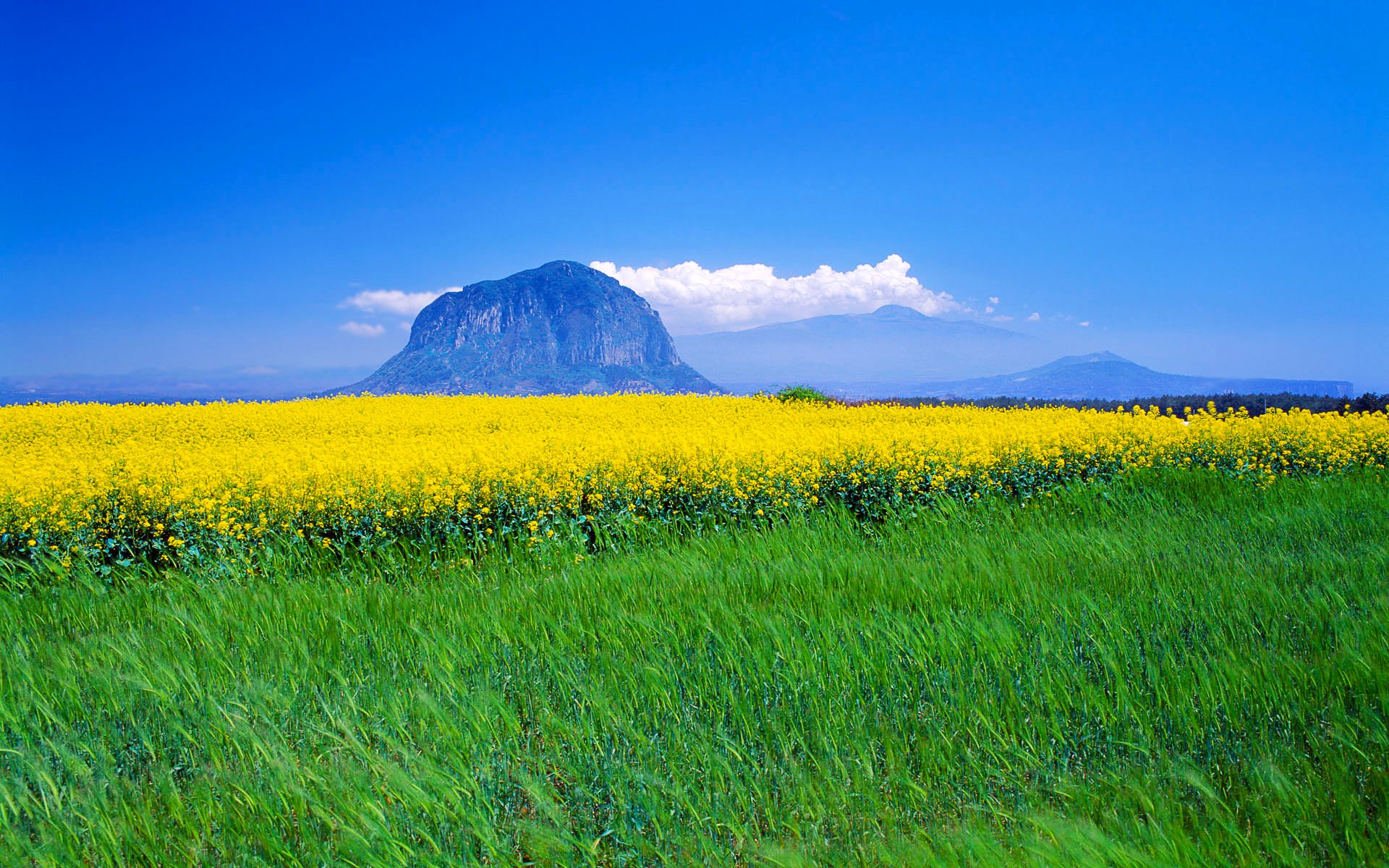 himmel wolken berg feld wiese blumen