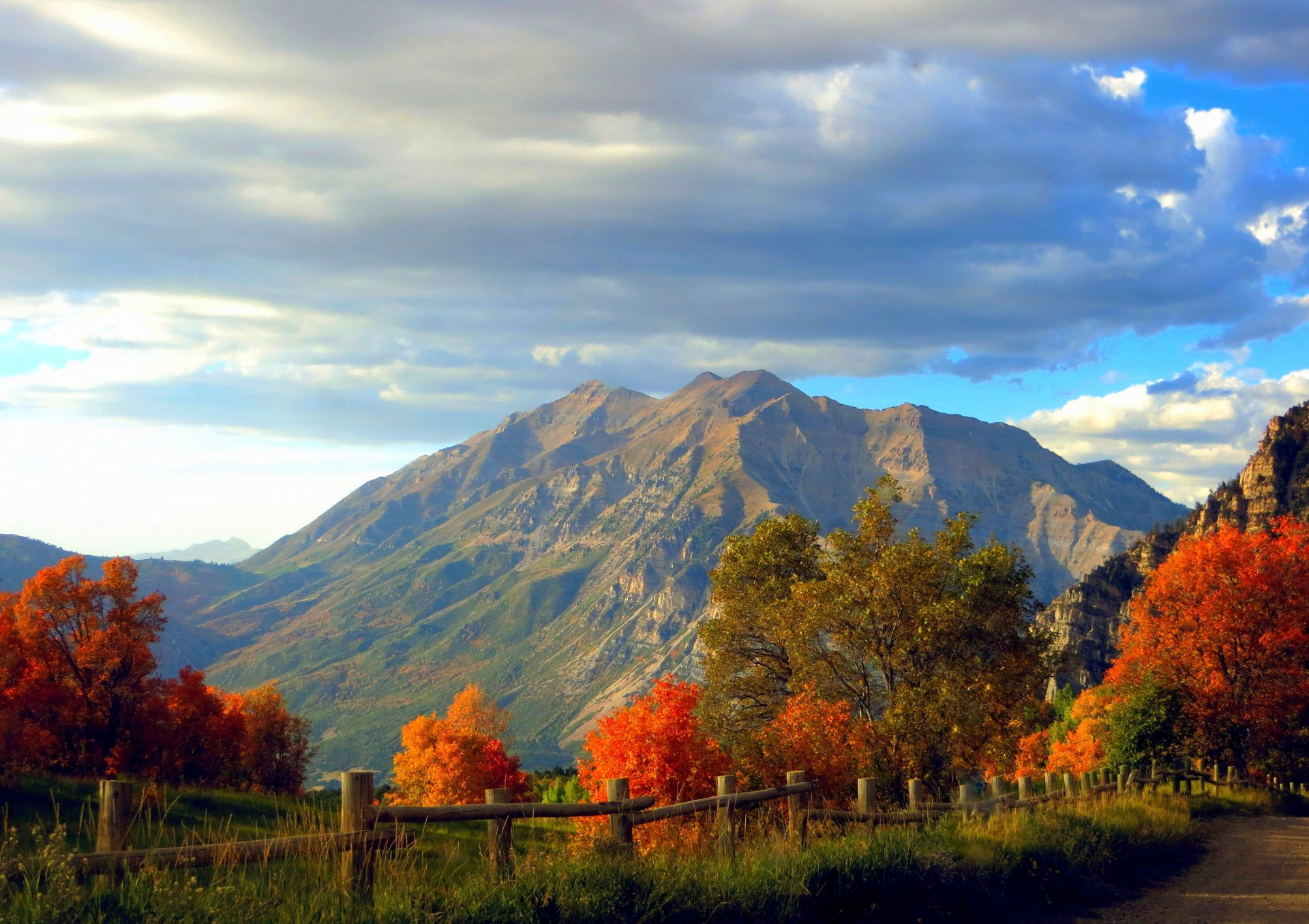 natura foresta alberi montagne rocce erba foglie colorato strada autunno caduta colori passeggiata cielo nuvole rocce