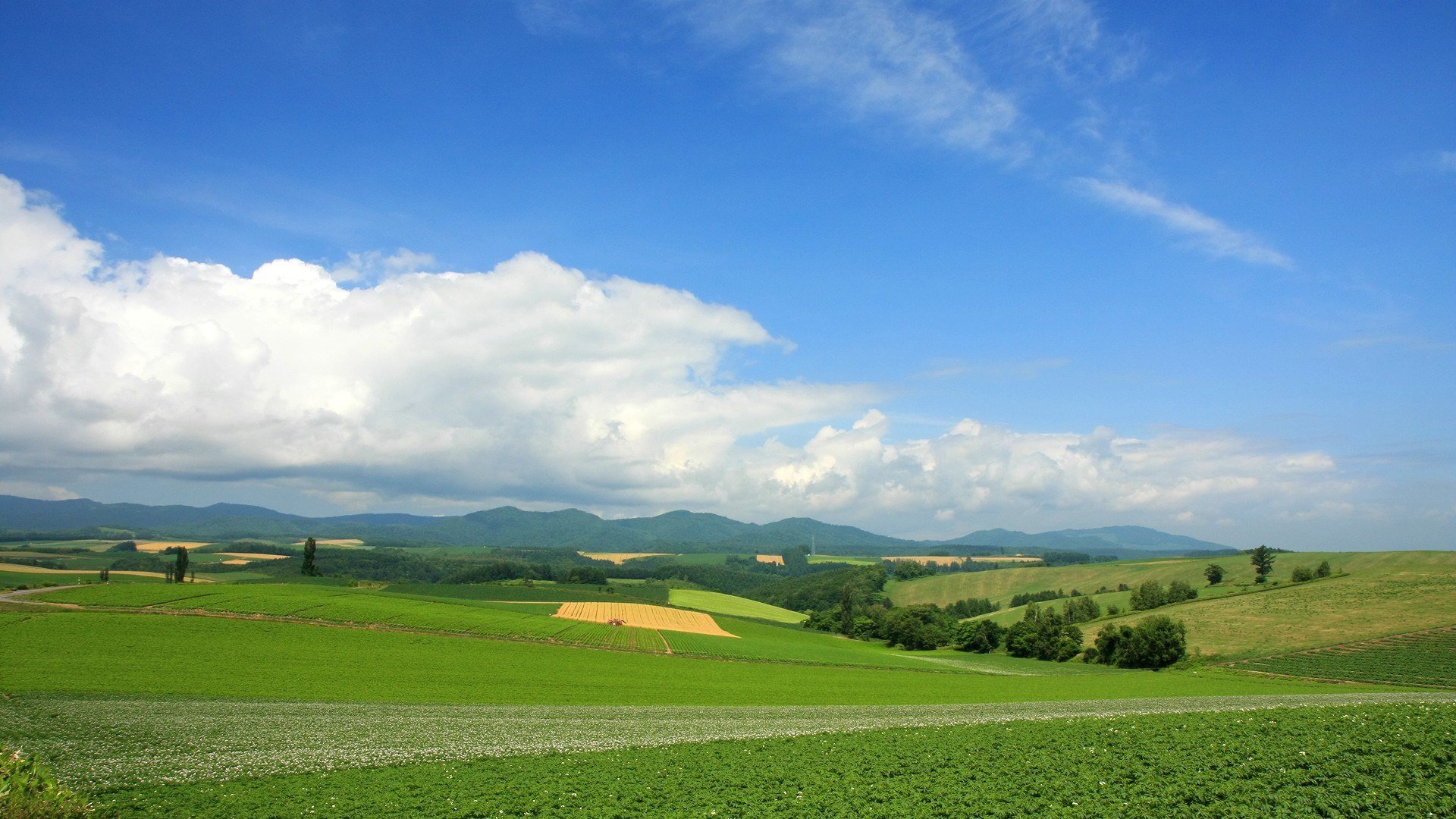 paesaggio estate verde nuvole orizzonte natura