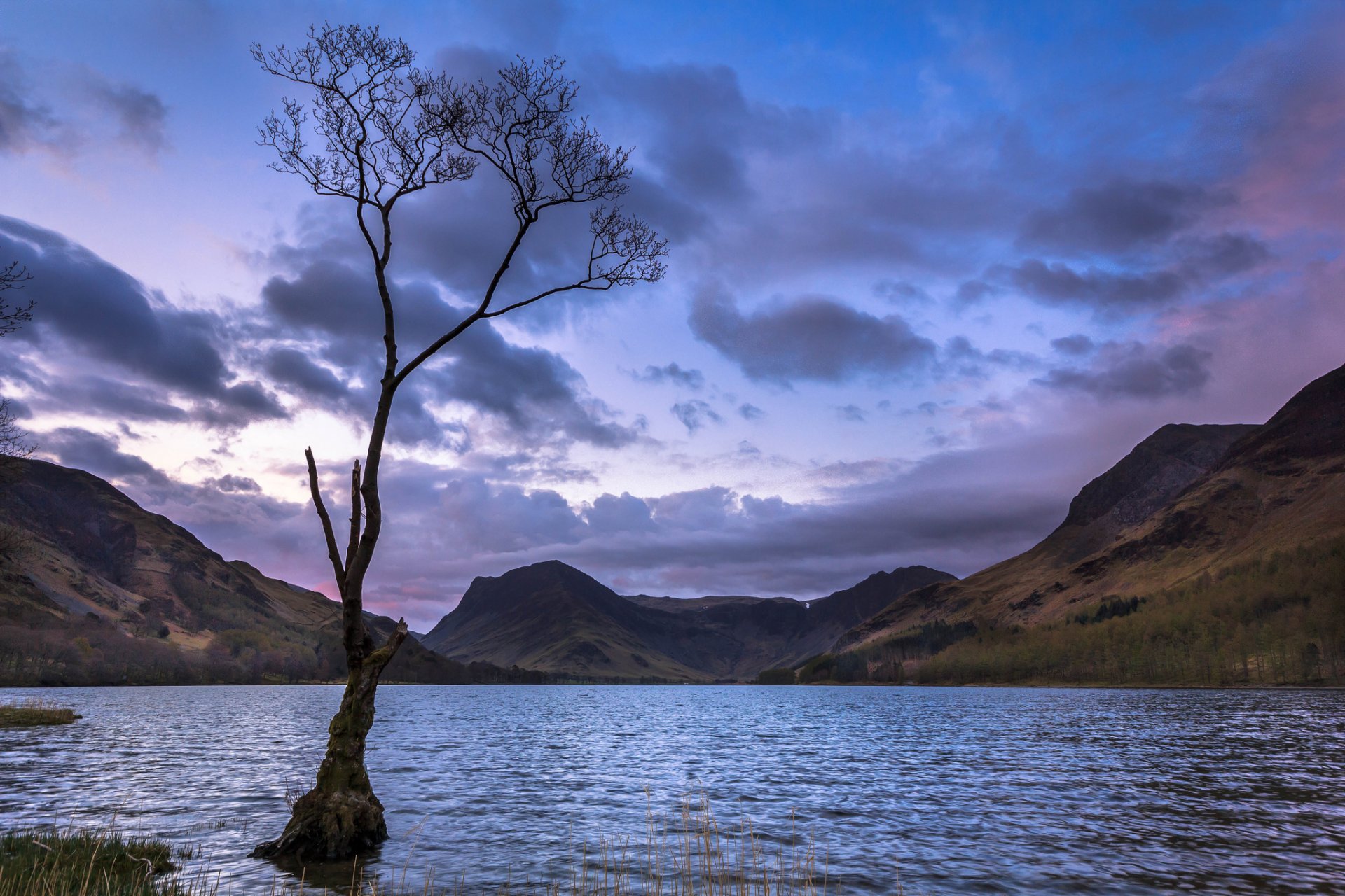 montañas lago árbol puesta de sol