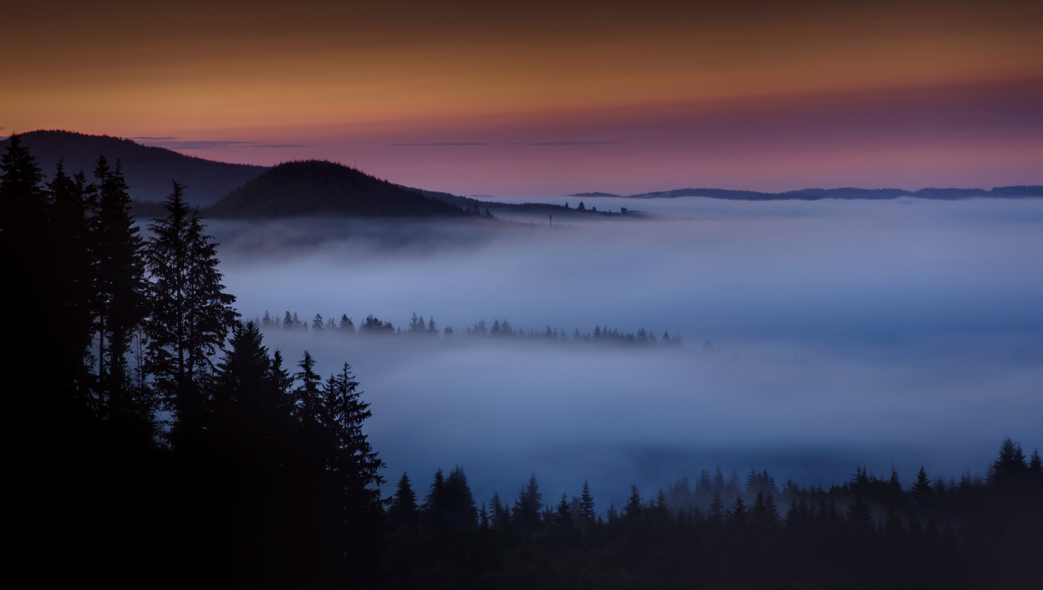 mañana amanecer montañas bosque niebla bruma