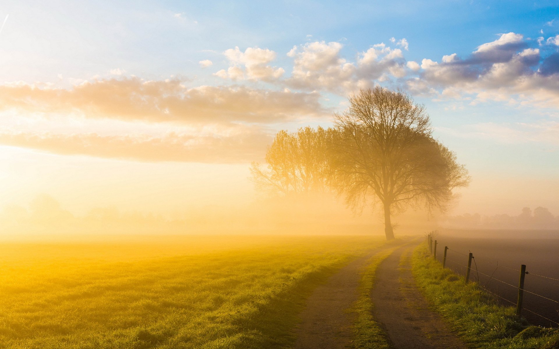 dietro il sole strada natura paesaggio