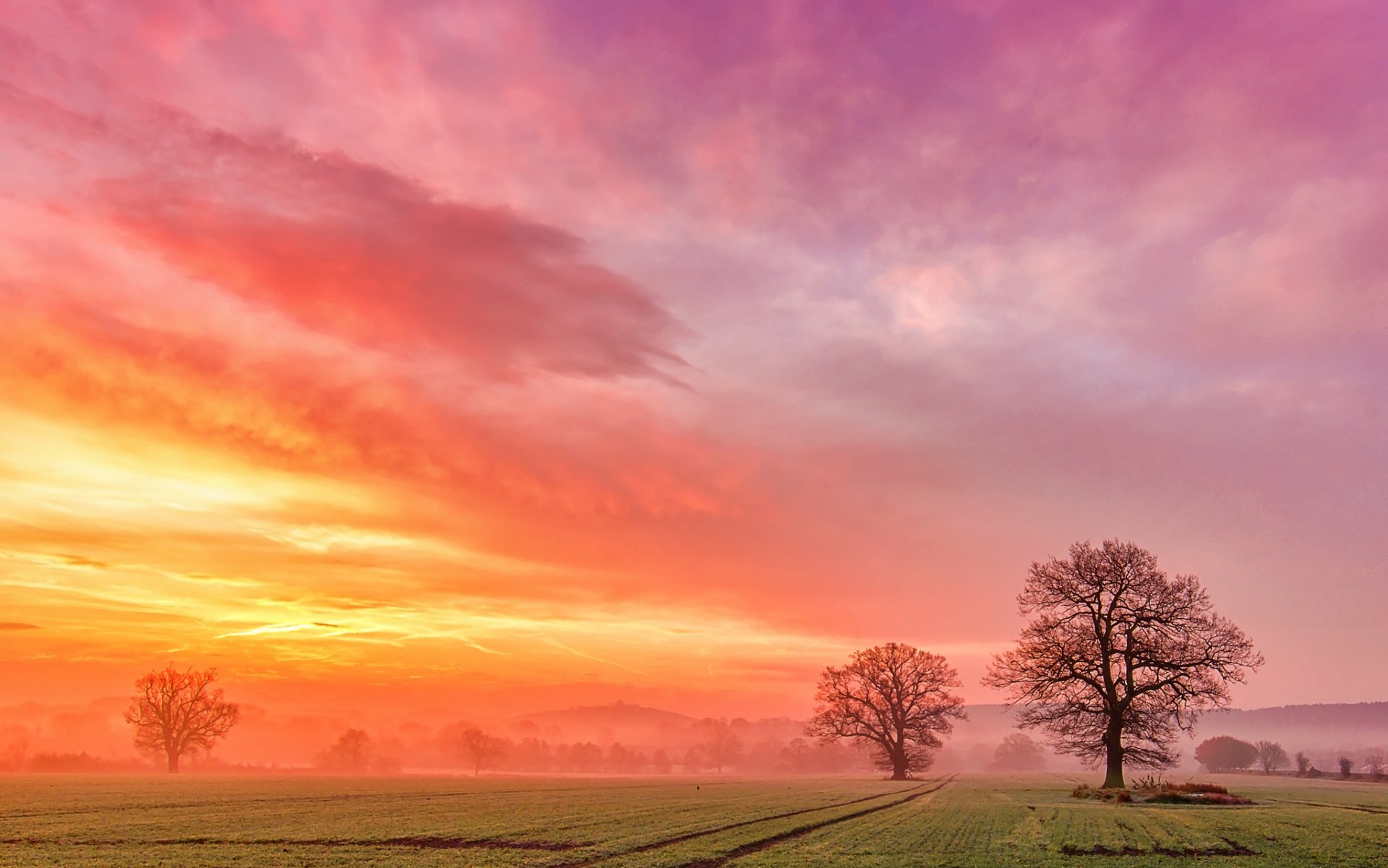 campo alberi nebbia nuvole alba alba