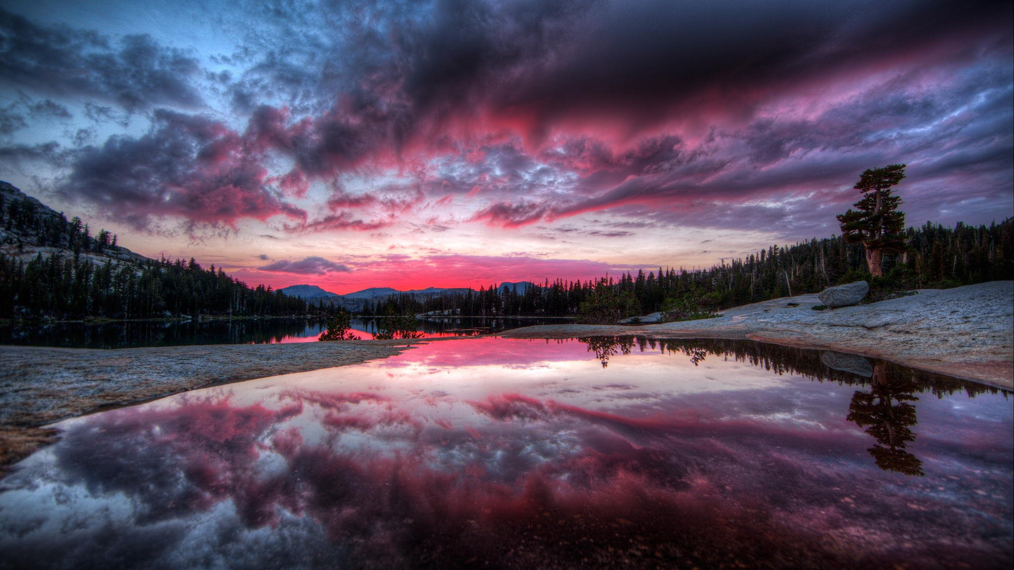 sonnenuntergang see fluss wald bäume