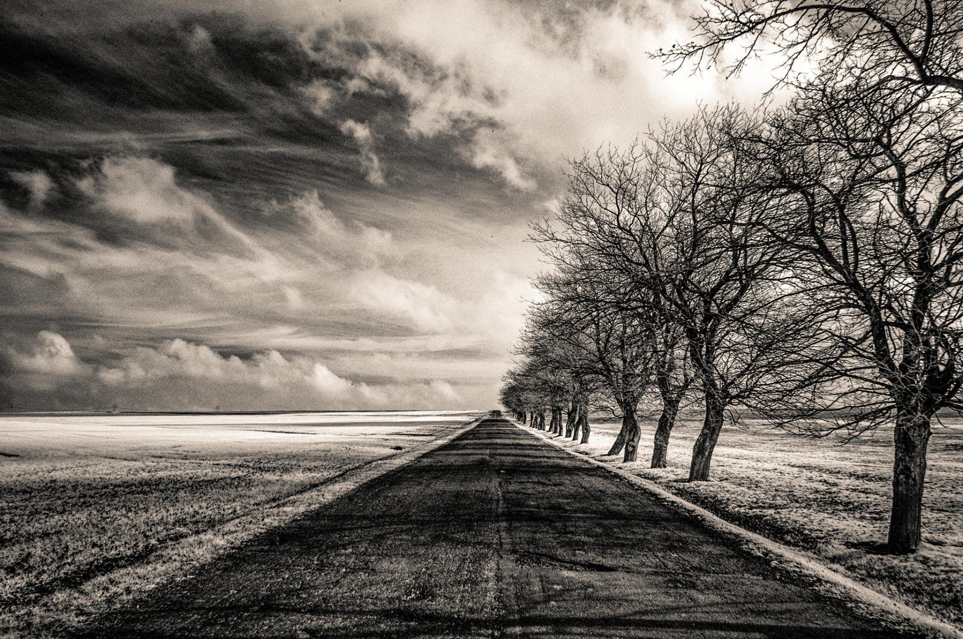 infinito strada bw campo alberi