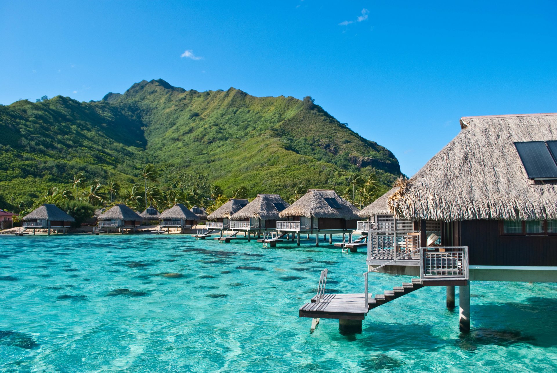 océano bungalow exótico moorea polinesia francesa