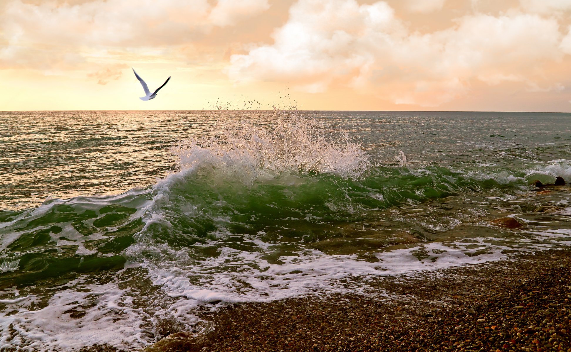 mouette mer nuages