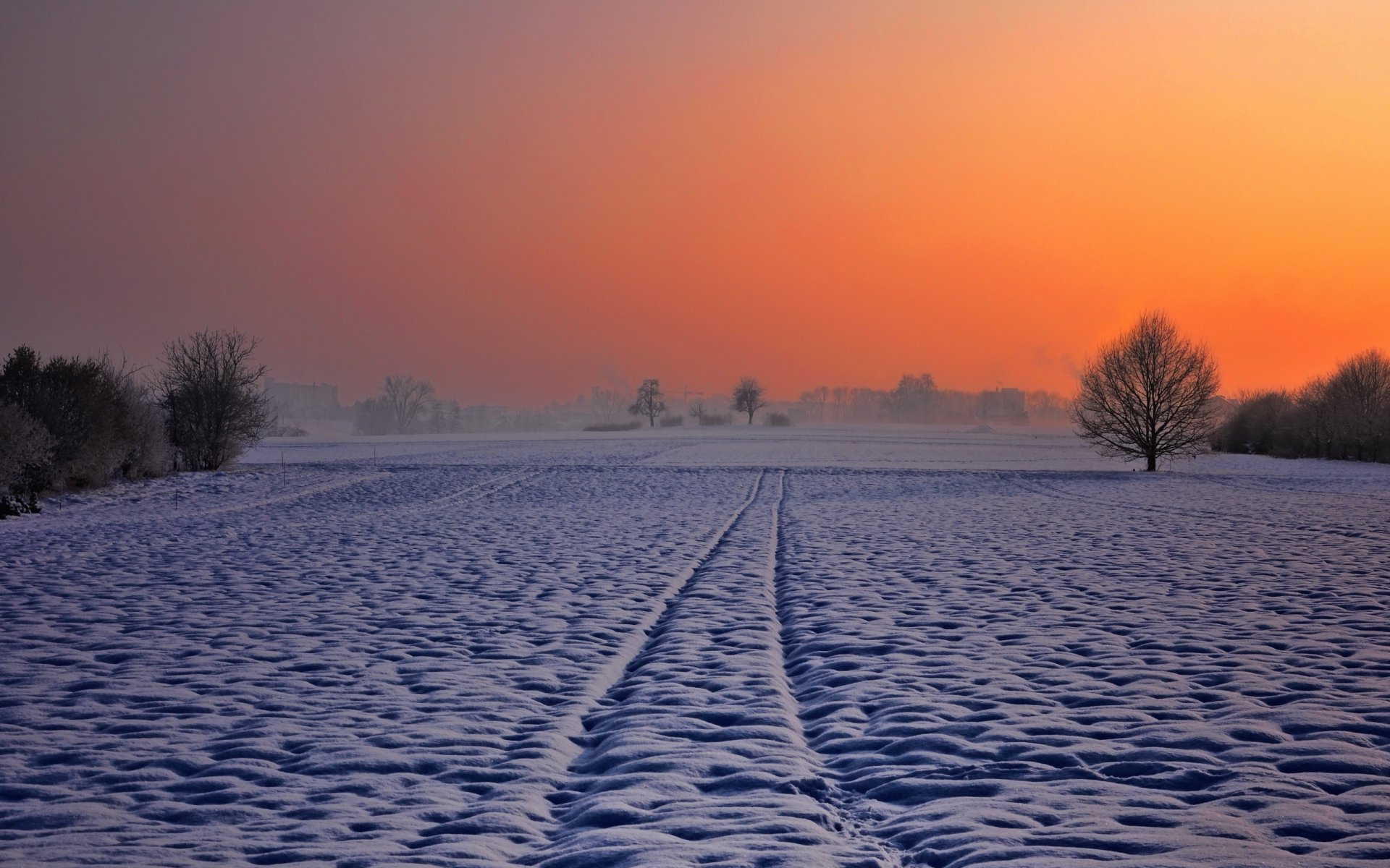 noche campo invierno