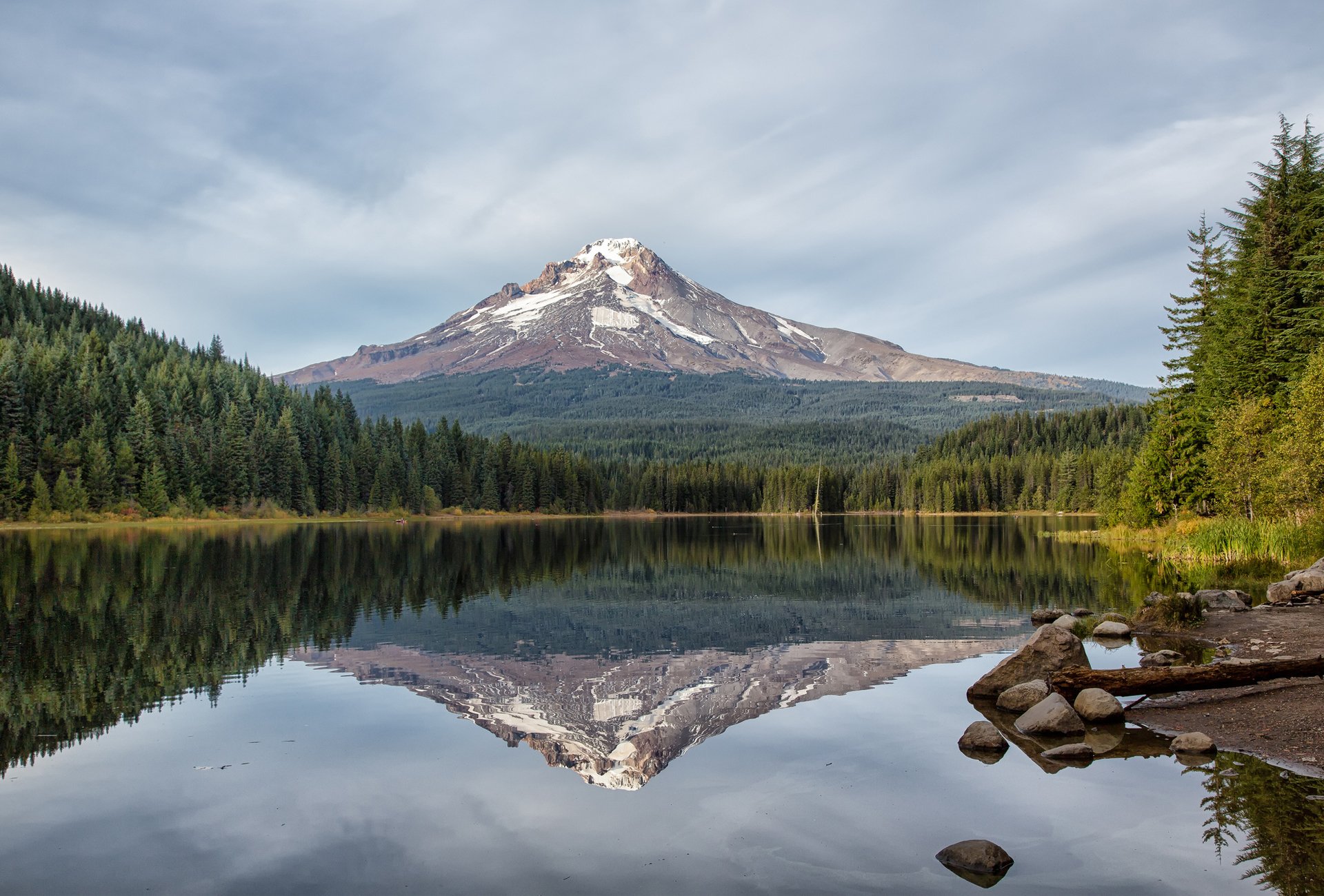 lac montagne réflexion forêt épinette conifères nature lac trillium oregon