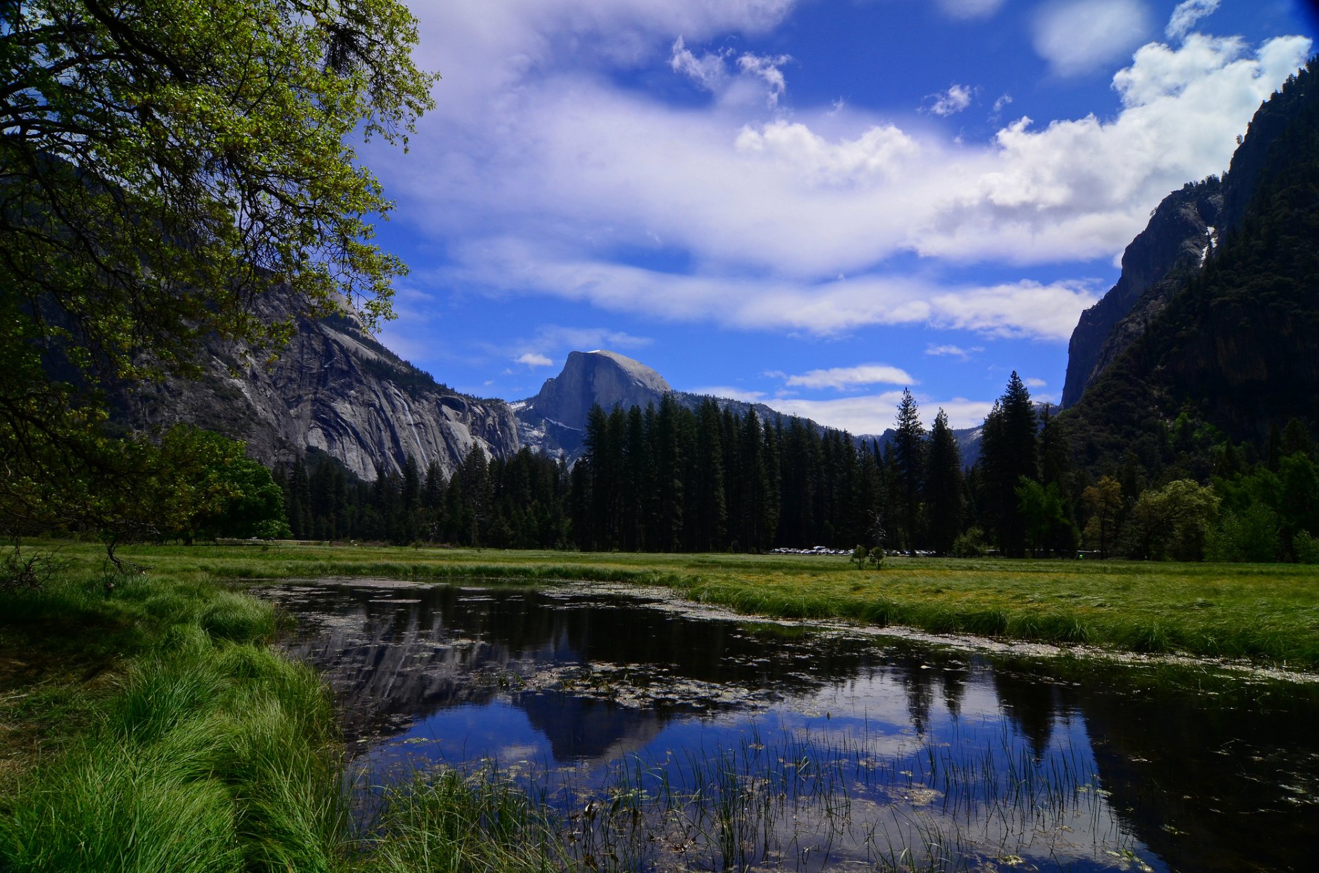 park narodowy yosemite kalifornia yosemite rzeka góry drzewa