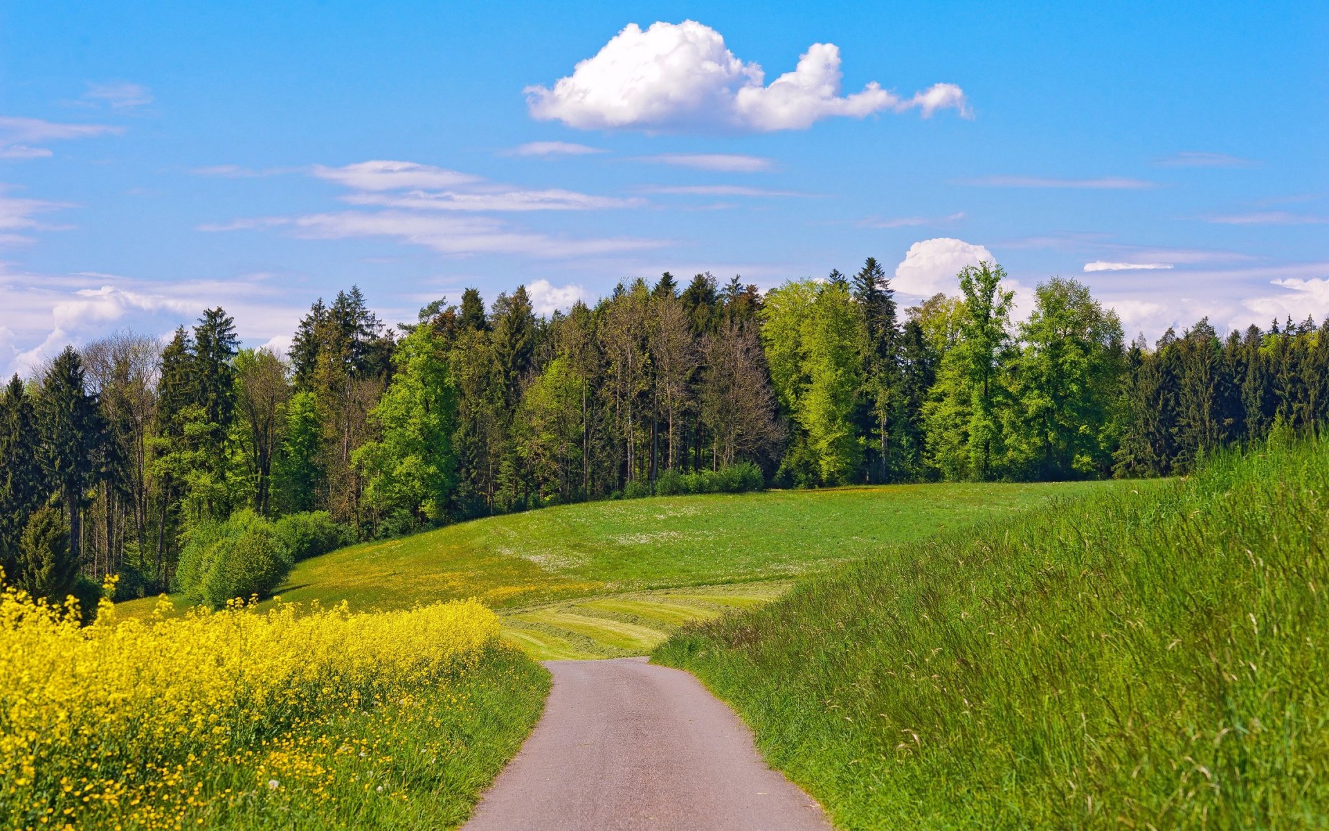 himmel wolken sommer wald straße hügel feld blumen bäume