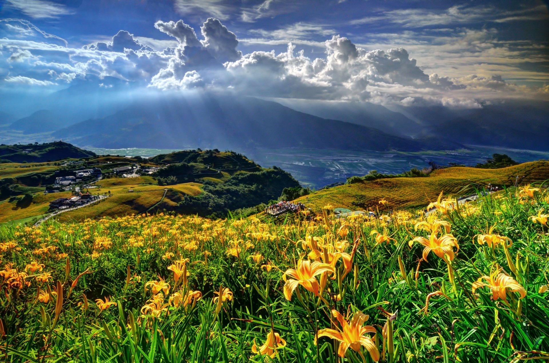 montagnes odlaka lumière fleurs paysage