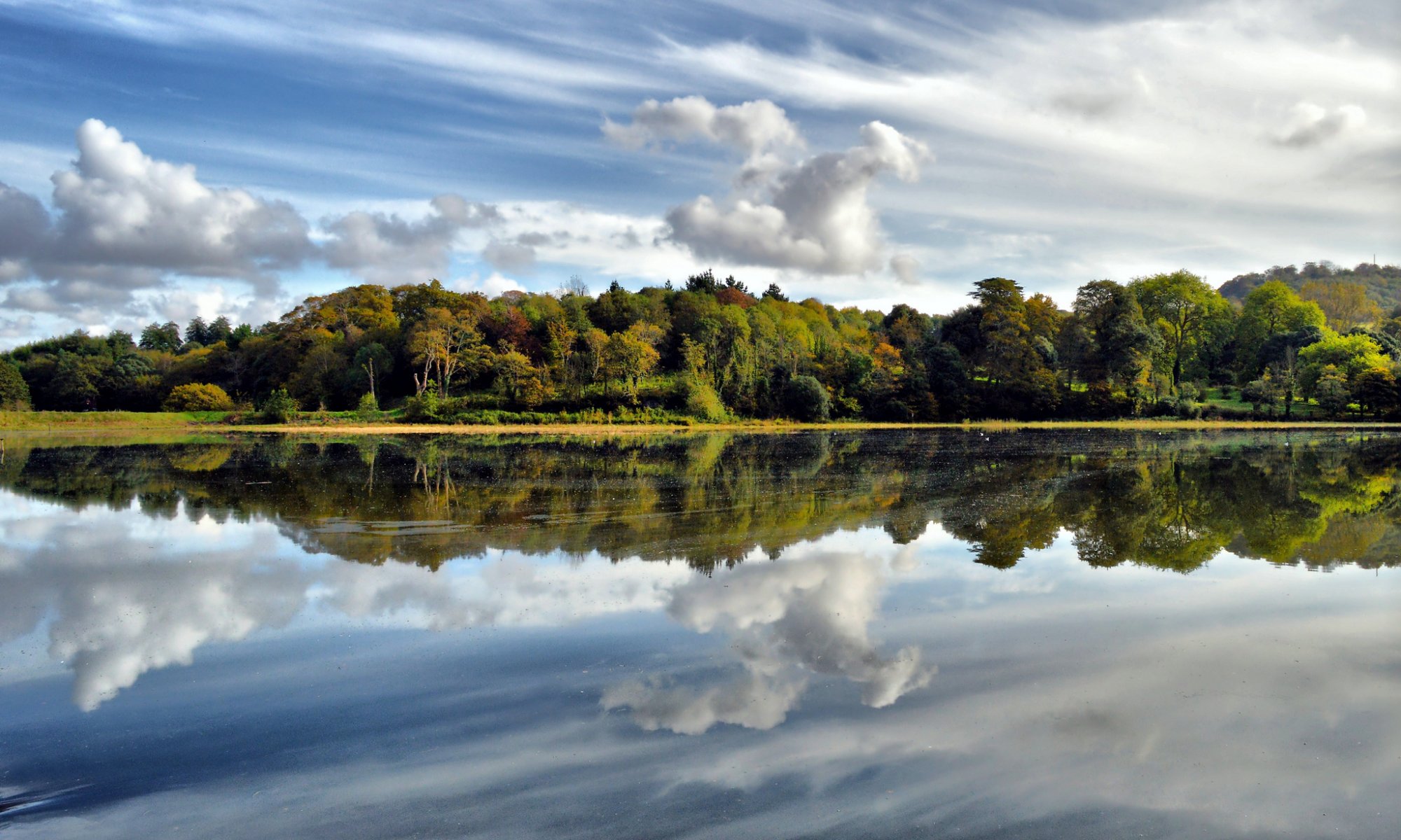 forest lake clouds reflection