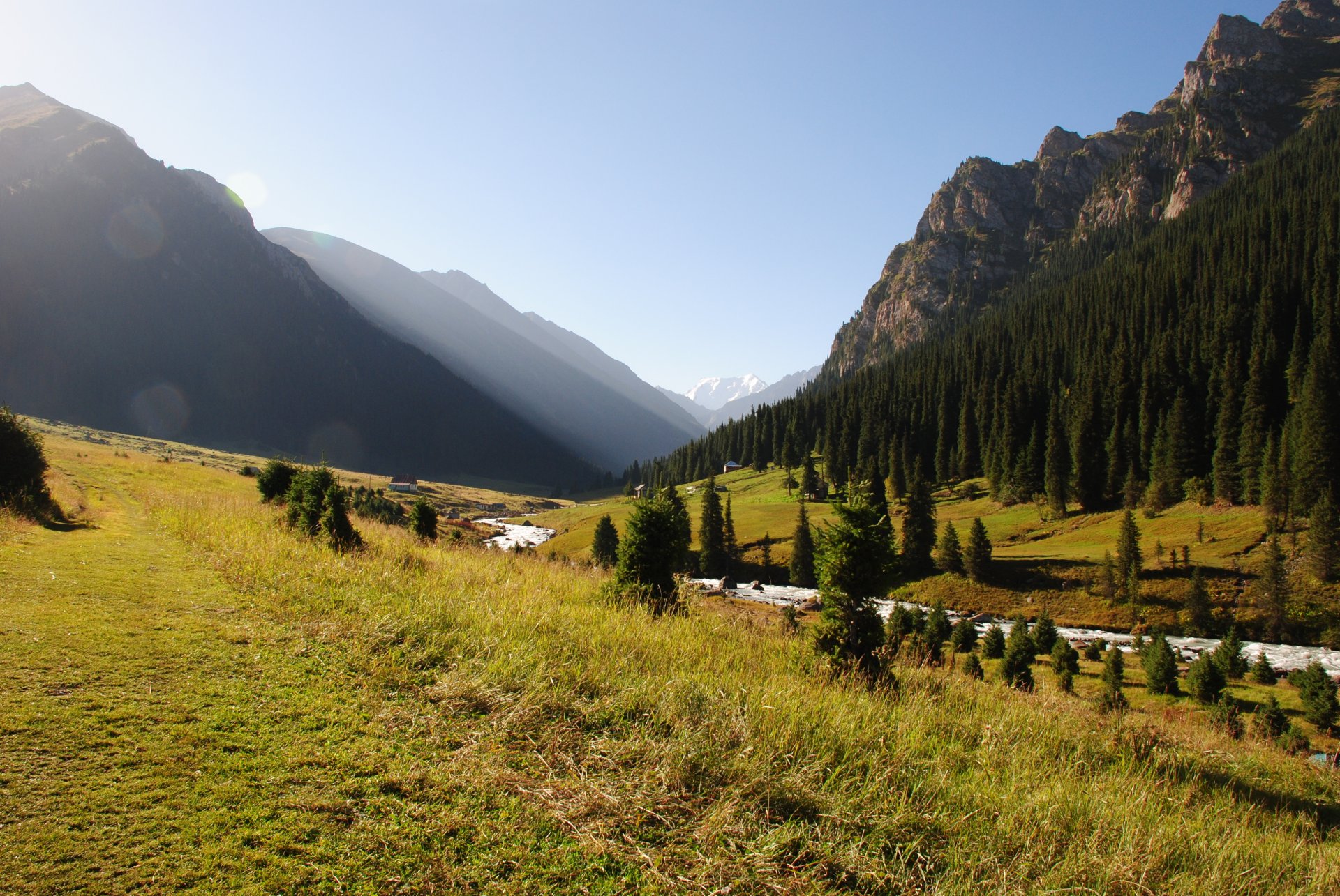 montagne foresta fiume natura karakol altyn-arashan kirghizistan