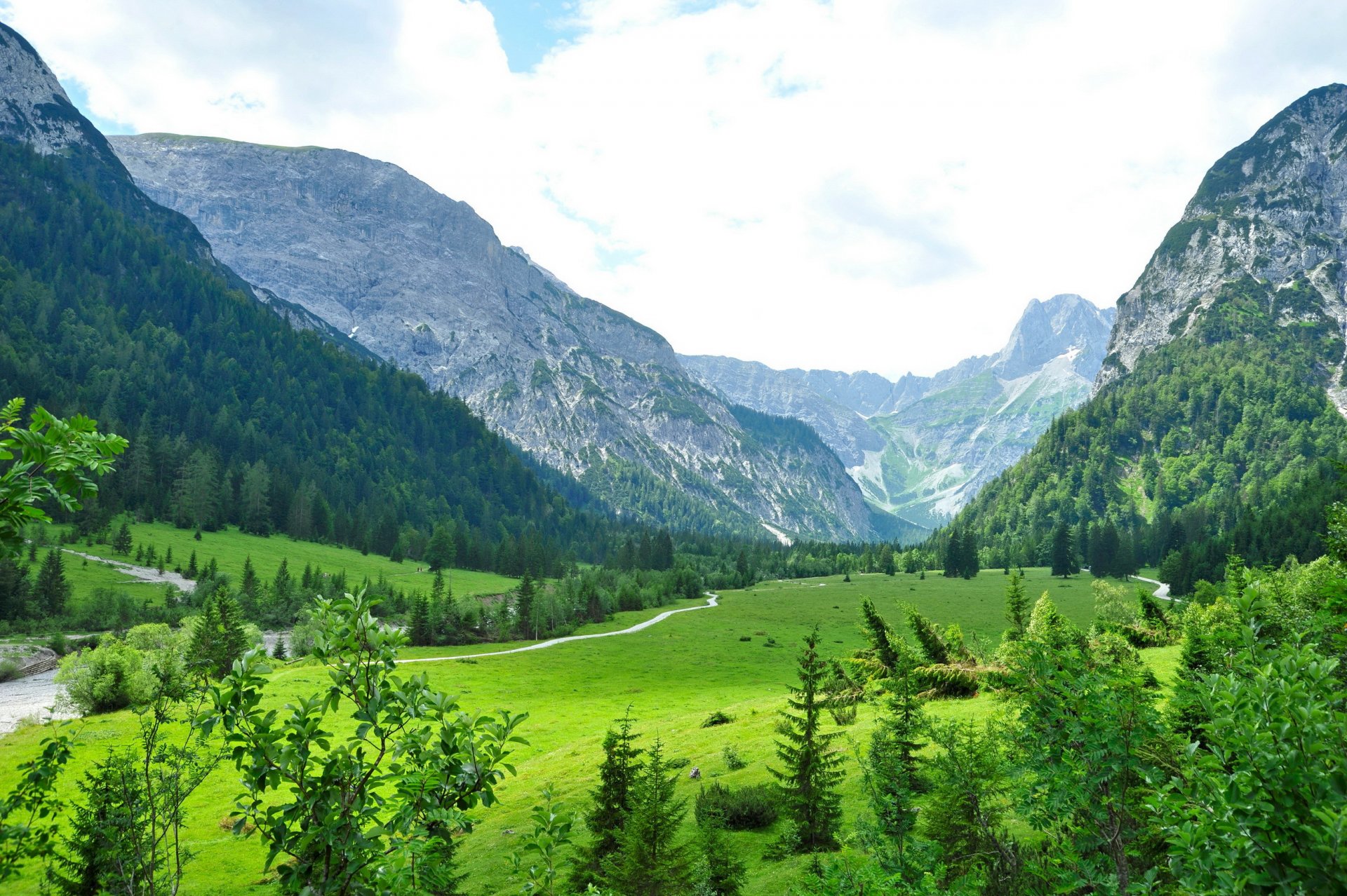 austria tirolo paesaggio gras rkchka alberi foresta