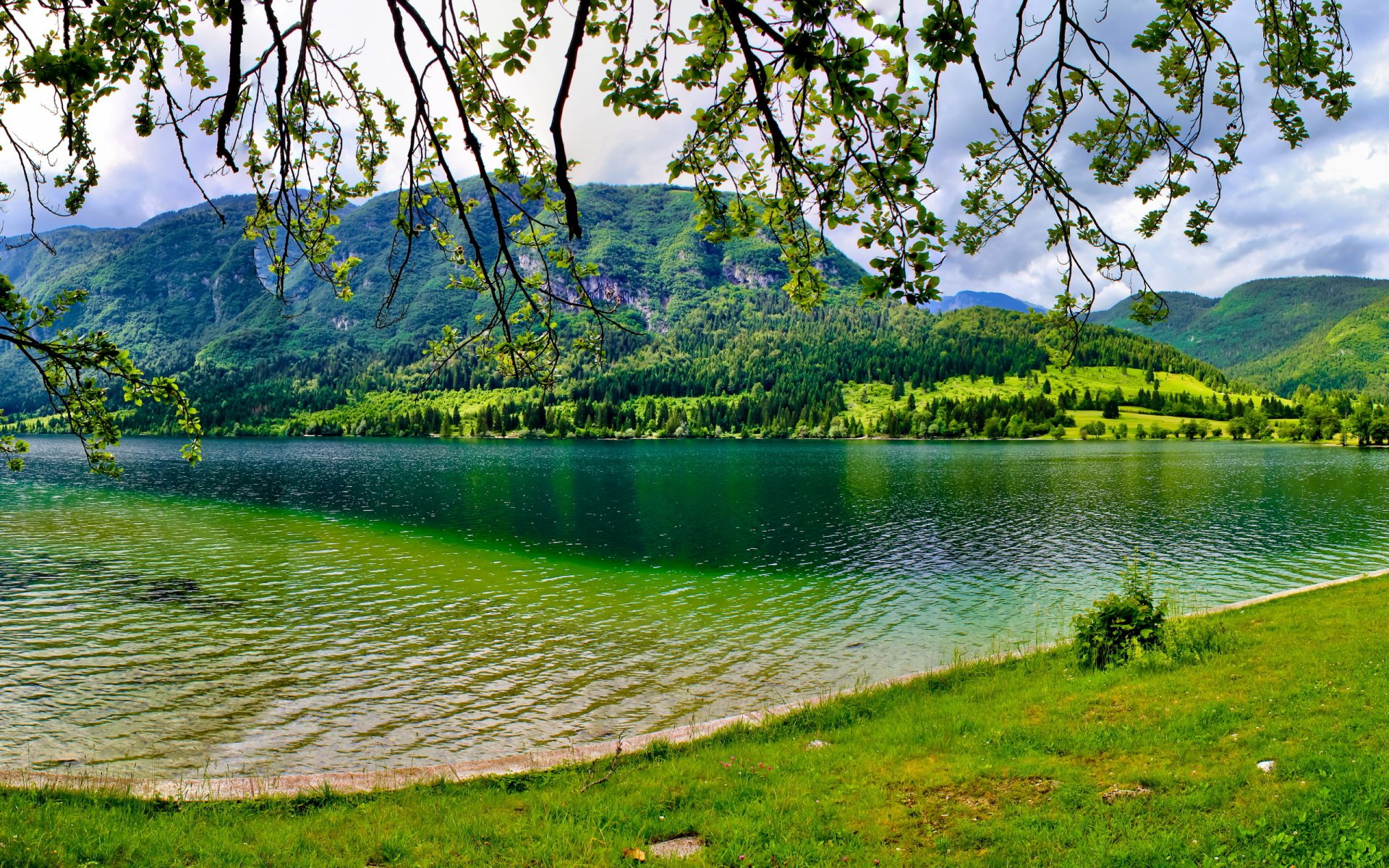 słowenia bohinj jezioro lato zieleń góra drzewa