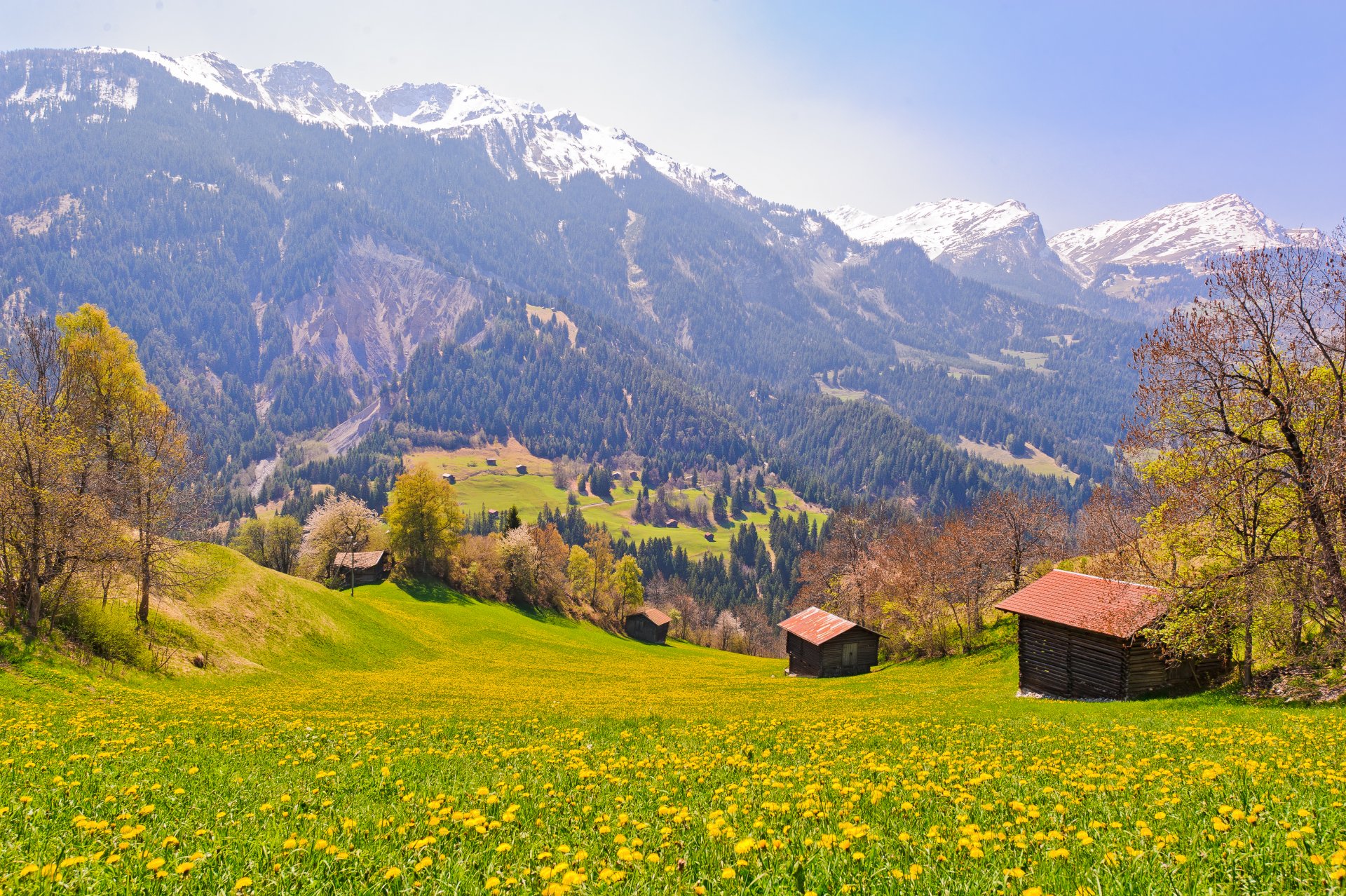 suiza campo árboles montañas pendiente pueblo