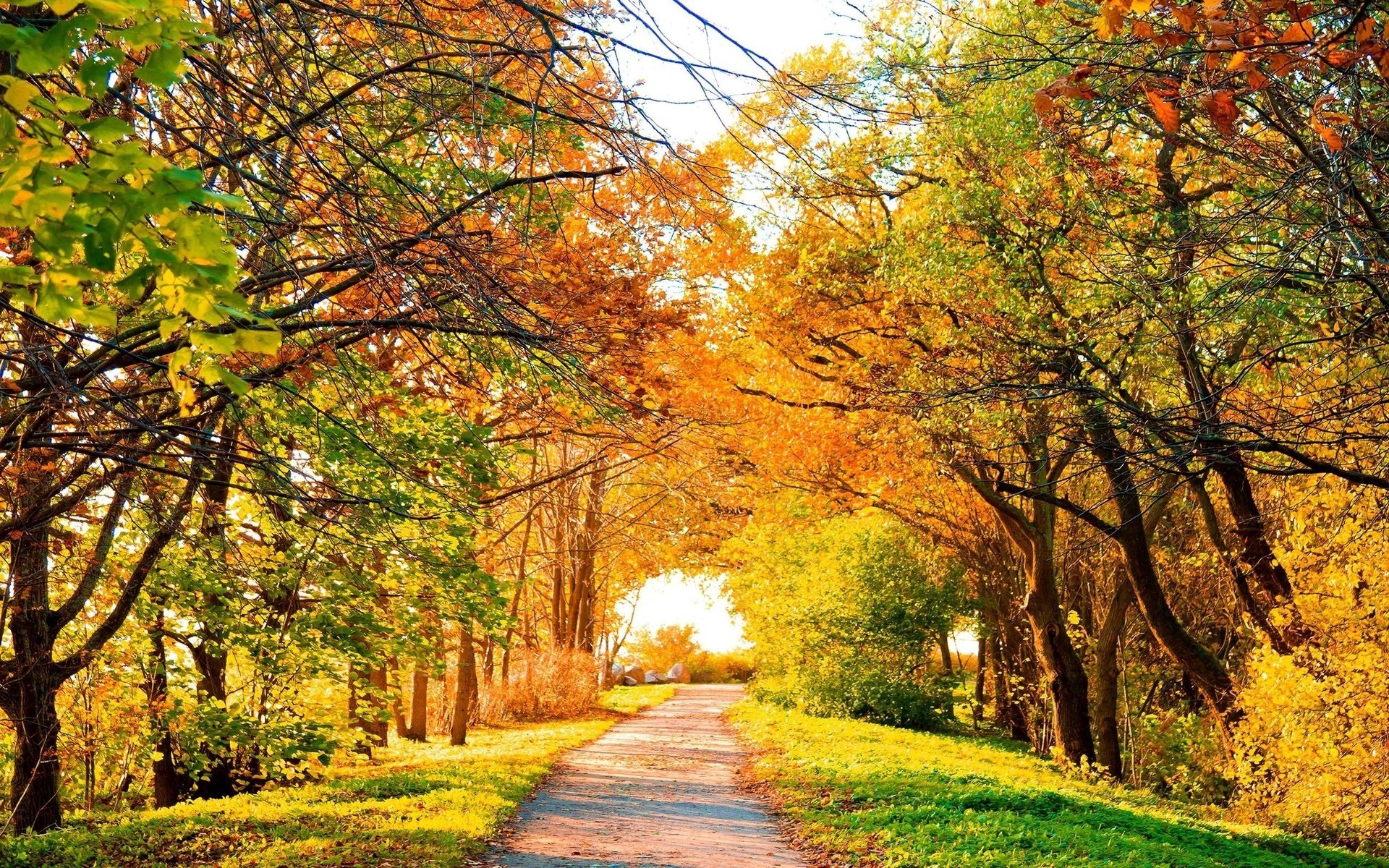 hell herbst alea farben herbst herbst gold