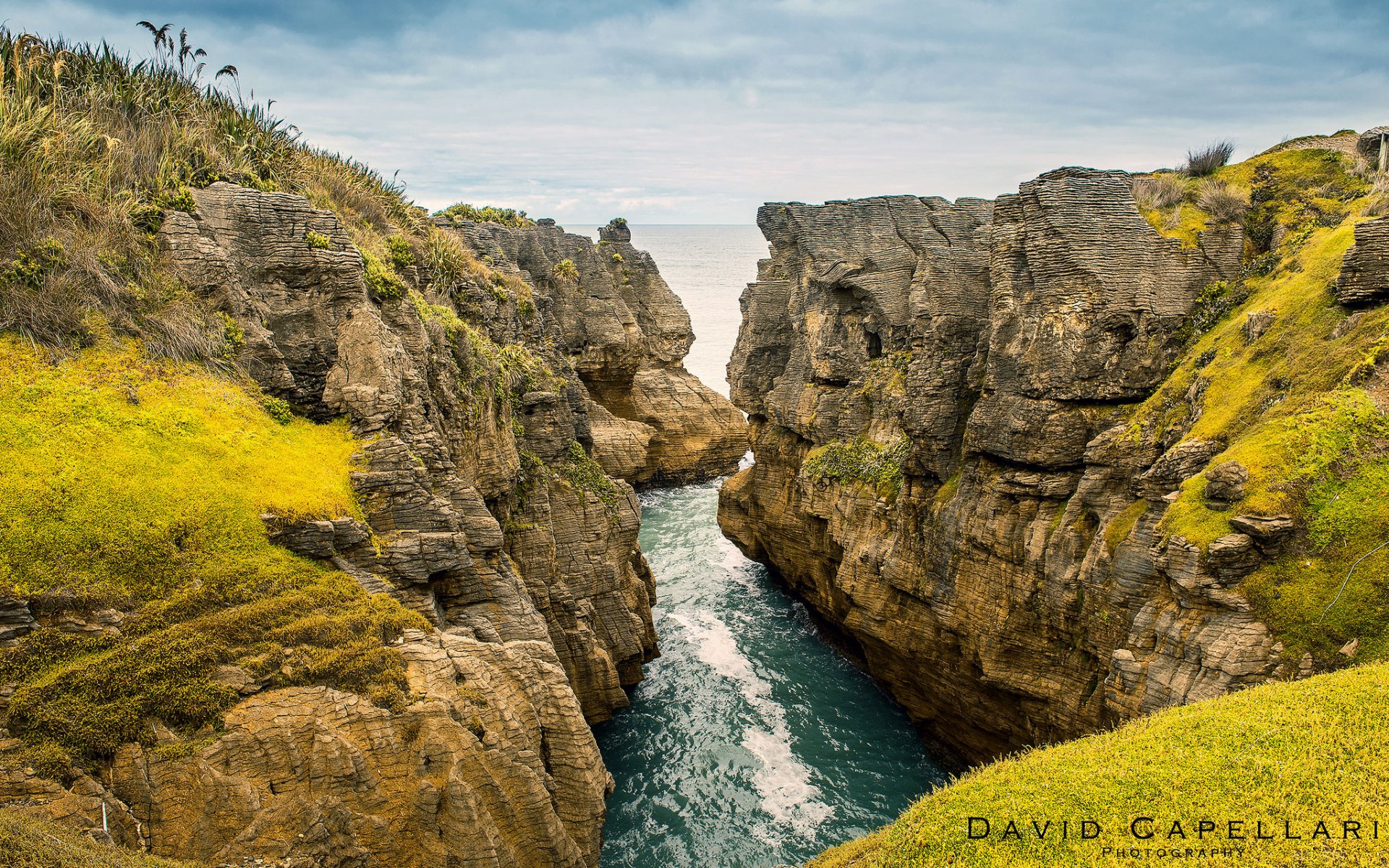 new zealand rock landscape ocean river nature david capellari