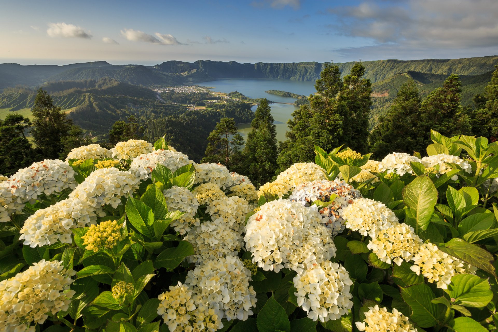 lagune der sieben städte mosteiros ponta delgada azoren portugal mosteiros hortensien berge blumen