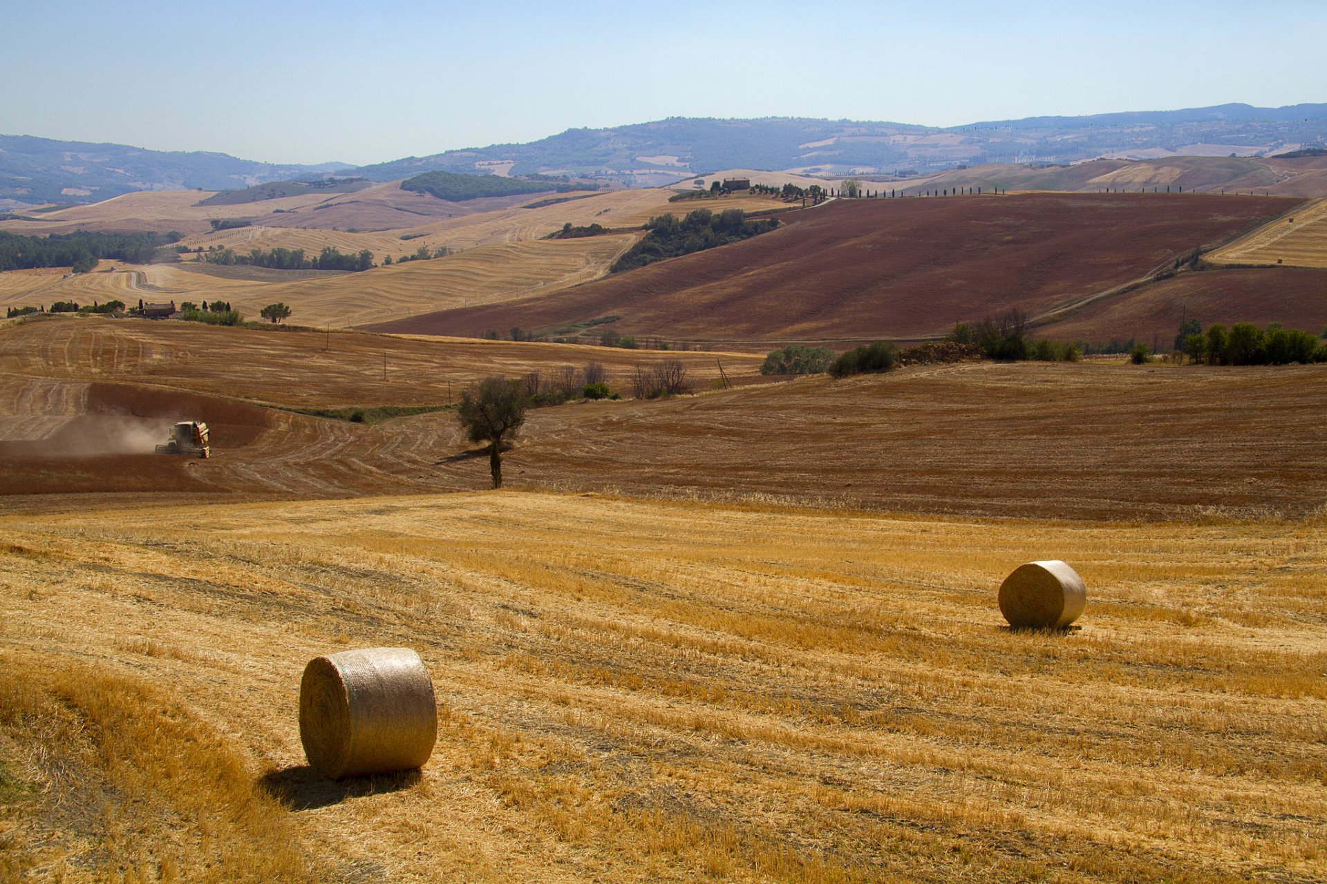 italia toscana autunno campi pulizia rotoli