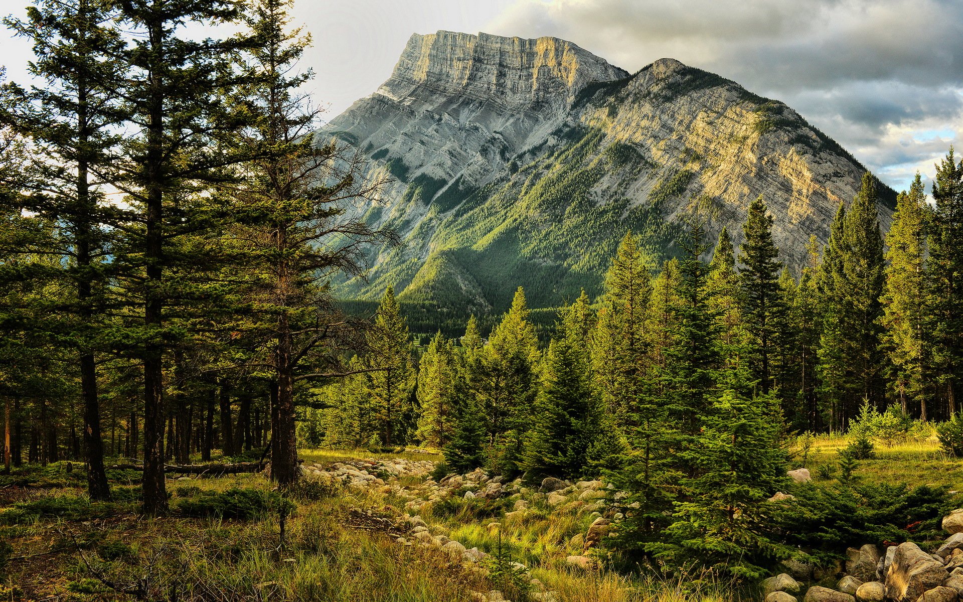 banff national park mount rundle early light alberta canada