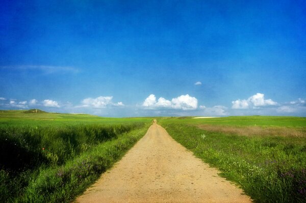 The road goes along the green fields