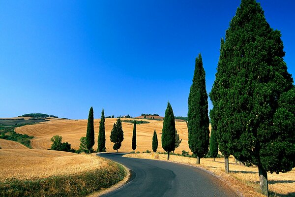 Italien Toskana Foto Straße hügelige Landschaft Hügel Straße