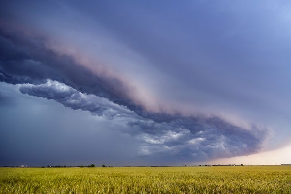 Paysage de ciel et champ d été