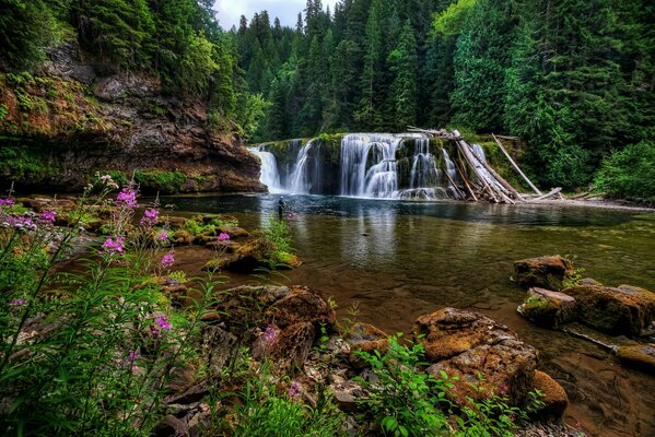 Maravillosa cascada en un lugar secreto tranquilo