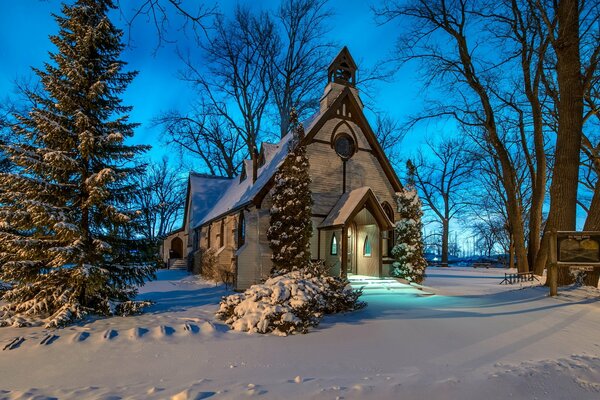 Snow-covered Christmas tree at the temple