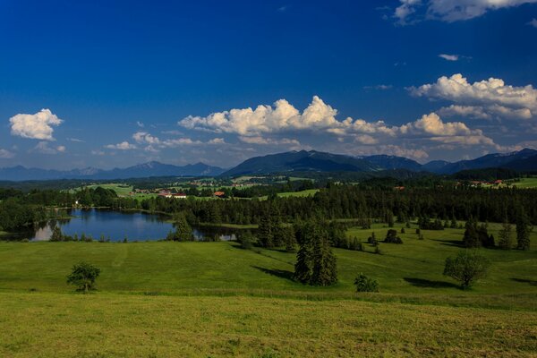 Summer landscape lakes and forests