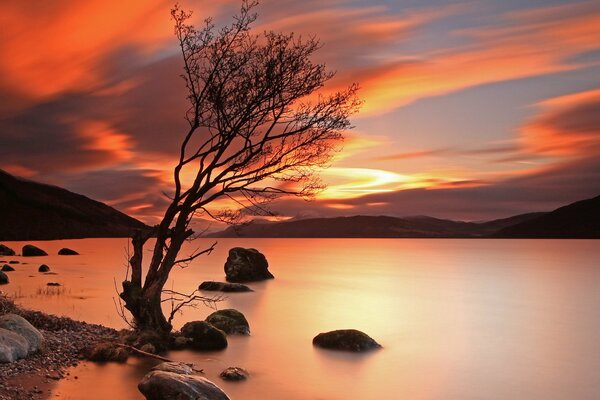 Suave puesta de sol junto al lago