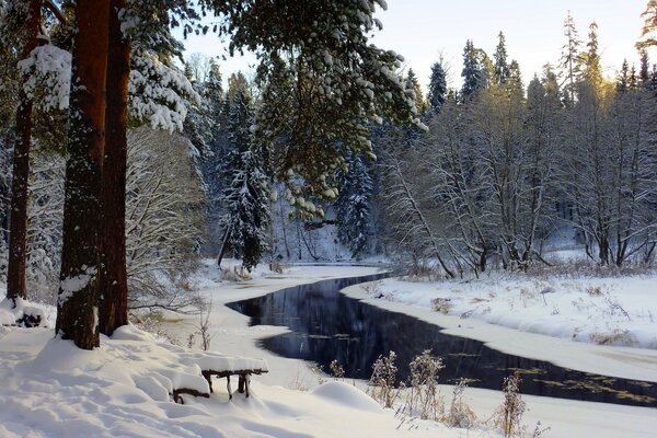 Río de invierno en el bosque cubierto de nieve