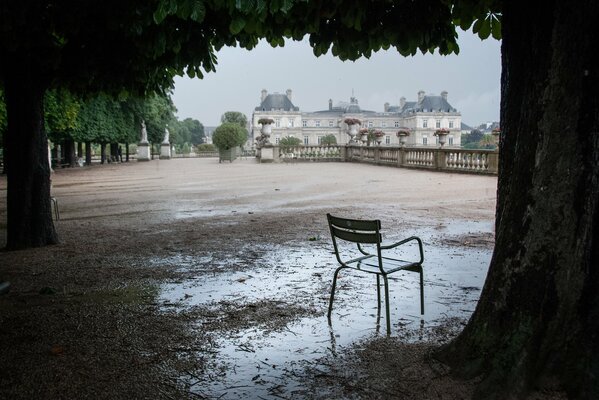 Silla solitaria bajo los árboles después de la lluvia