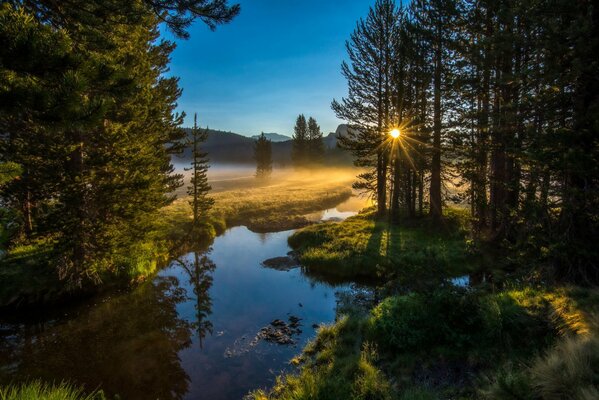 Amanecer por la mañana sobre el río en el bosque