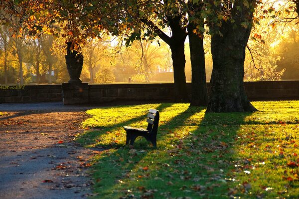 In autunno, è così bello sedersi su una panchina nel parco