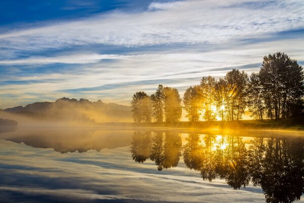 Alba tra gli alberi sul fiume