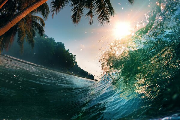Una ola de mar en un paraíso tropical