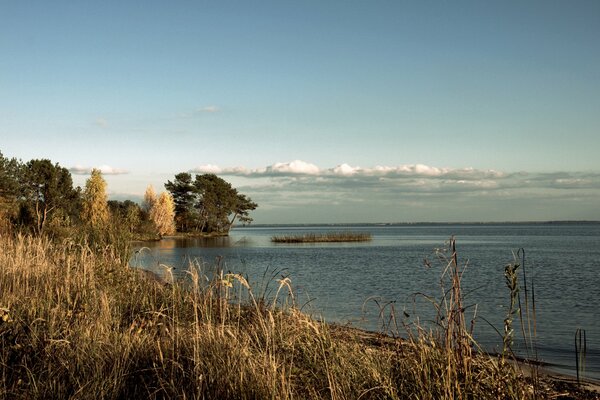 Es hora de otoño. En la orilla del lago