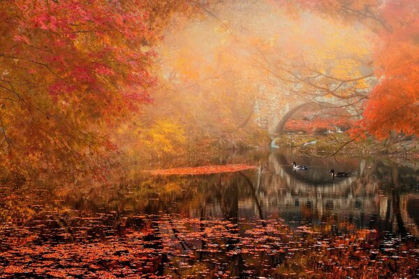 Herbstlandschaft mit Brücke und Fluss