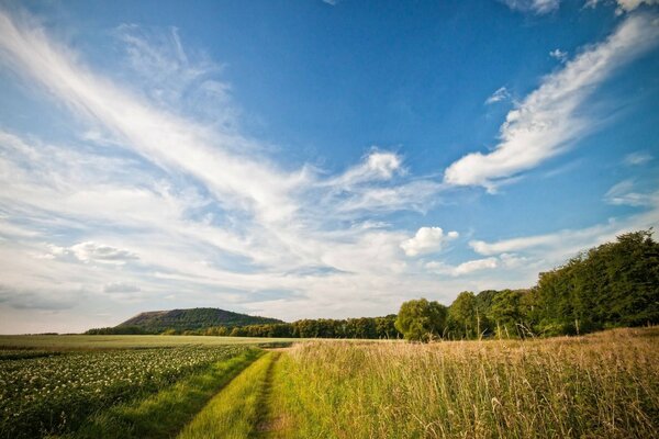 Ein Feld mit schönen gefiederten Wolken