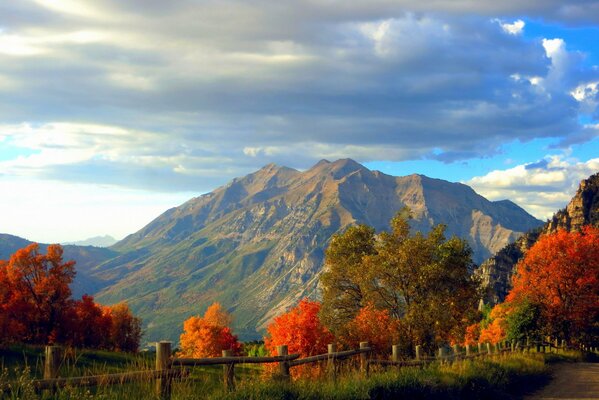 Un paseo por el parque de otoño de montaña