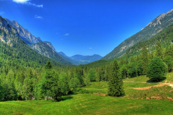 Die Wälder und Berge Bayerns. Landschaft